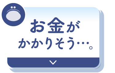 お金がかかりそう