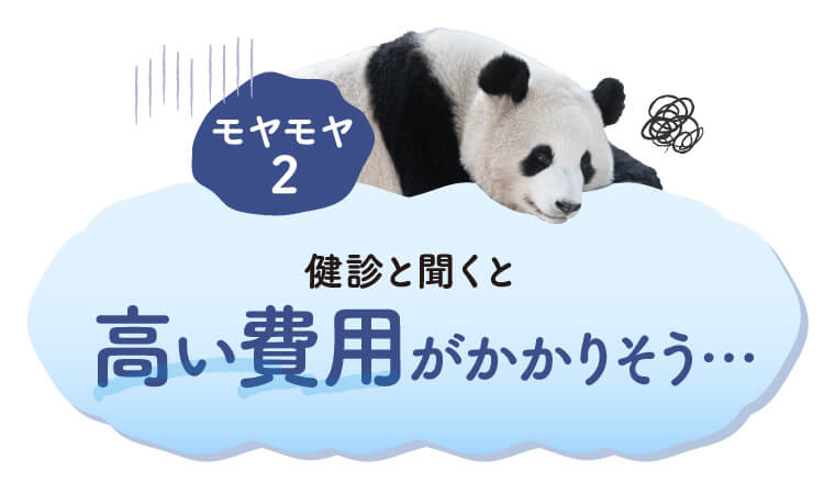 モヤモヤ2 健診と聞くと高い費用がかかりそう…